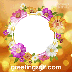World Kindness Day Quote Gif - 1035 2 Happy World Kindness Day Gif