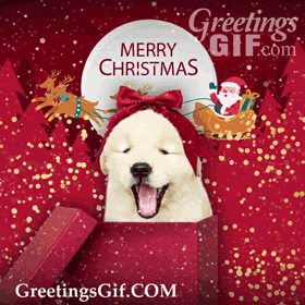 Cute Merry Christmas Gif - 1065 2 Cute Animated Merry Christmas Gif Merry Christmas Puppy Gif