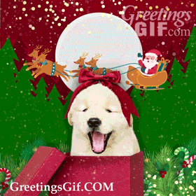 Animated Merry Christmas Gif