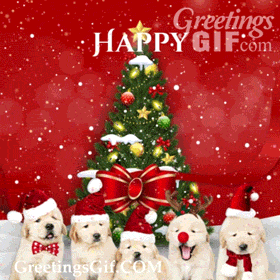 Happy Christmas Eve Gif
