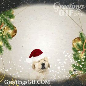 Merry Christmas Gif - 1115 2 Animated Merry Christmas Gif
