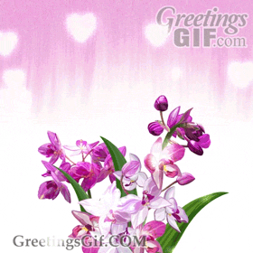 Happy Mothers Day Flowers Gif