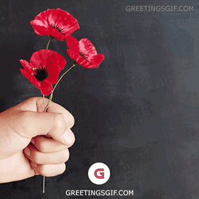 Happy ANZAC Day Gif - 1247 2 Happy ANZAC Day Gif